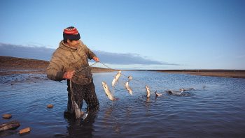 Des filets pour pêcher dans les fleuves. Des filets pour pêcher dans les fleuves.
