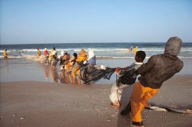 Des filets pour pêcher dans l’océan. / © Jean-François Hellio & Nicolas Van Ingen