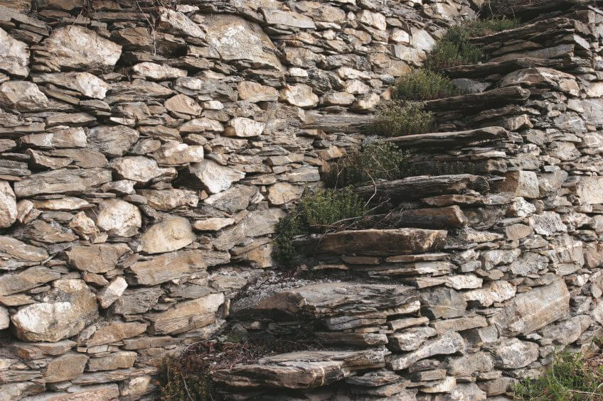 Soutenir les vignes - La Salamandre mur pierre escalier