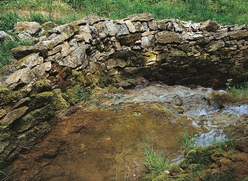 Pour dompter le courant et mener l’eau où bon lui semble, l’homme a aussi construit des murets et des enrochements le long des berges. Jamais inactive, la nature les recouvre de mousses. Des ponts de pierre pour passer la rivière - La Salamandre