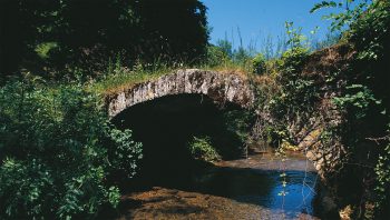 Situé en amont de Baume-les Messieurs, ce pont passe facilement inaperçu.