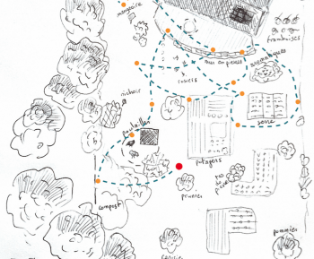 Etape 16 de Mon voyage au jardin. Le grillon champêtre fait chanter l'herbe - La Salamandre