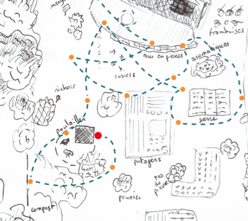 Face au papillon inconnu - La Salamandre