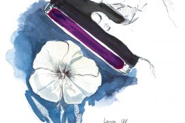 Avec une lampe UV, le centre de l'onagre est plus foncé. / © Maeva Arnold