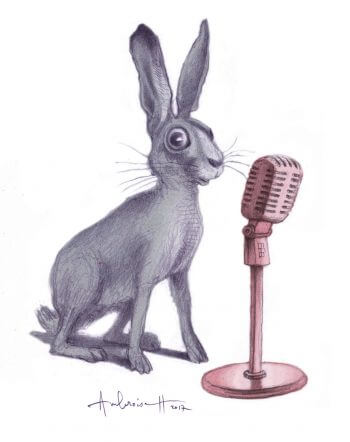 Ces fables qui font parler les animaux - La Salamandre dessin lievre micro