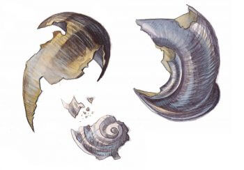 Service de nuit pour le hérisson - La Salamandre dessin