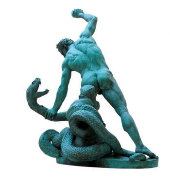 L'olivier, un arbre au mythe unanime - La Salamandre