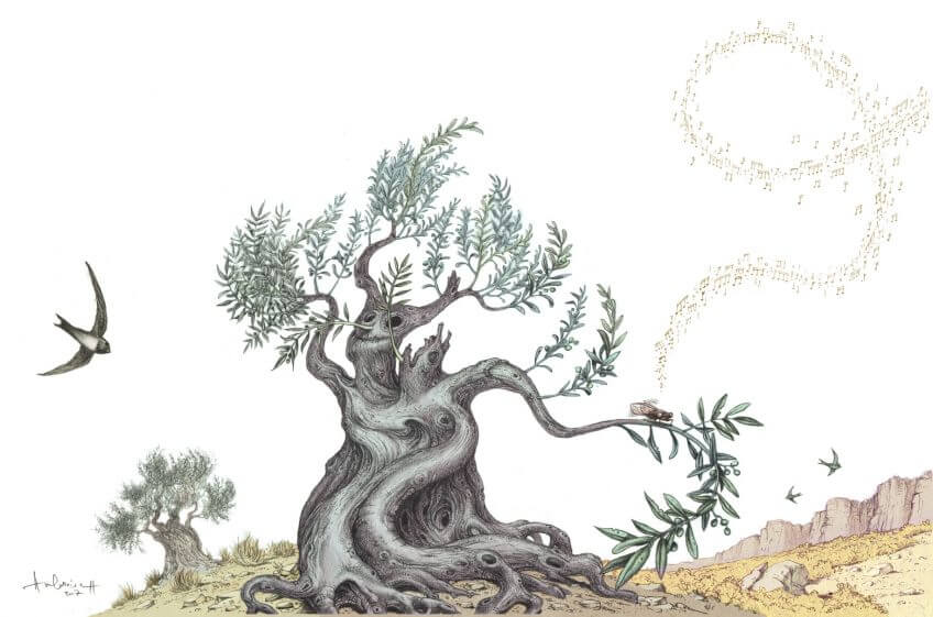 La diva et le vieil arbre, ou la cigale et l'olivier - La Salamandre dessin ambroise héritier