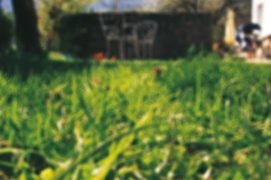 La vue n'est pas le sens principal chez les hérissons. Son monde est complètement flou.  / © Laurent Willenegger