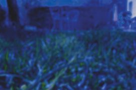 Le hérisson vit de nuit. / © Laurent Willenegger