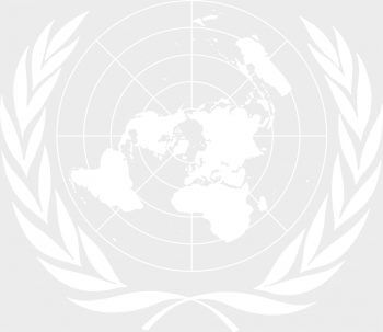 L'olivier, un arbre au mythe unanime - La Salamandre