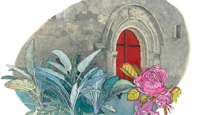 L’herboriste au pinceau, aquarelles - La Salamandre