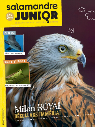 Couverture de La Salamandre Junior n°112