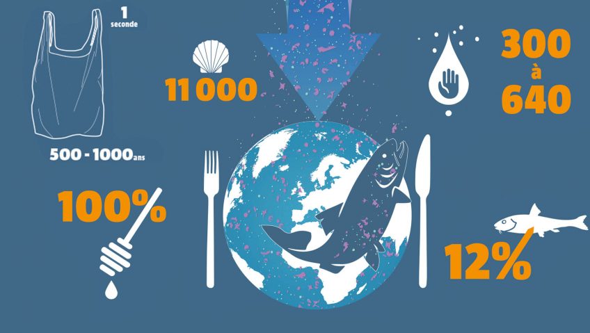 Microplastiques, méga fléau, infographie - La Salamandre infographie