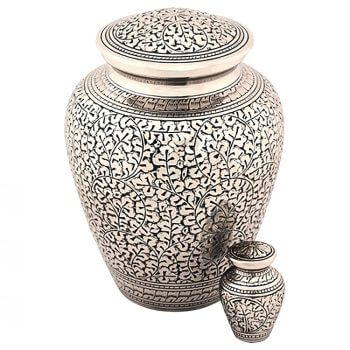 L'olivier, un arbre au mythe unanime - La Salamandre