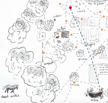 De la pyrale comme casse-dalle - La Salamandre