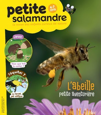 Couverture de La Petite Salamandre n°12