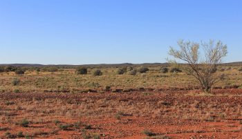 Une immense clôture entourera une aire refuge dans le désertique outback australien. Une immense clôture entourera une aire refuge dans le désertique outback australien.