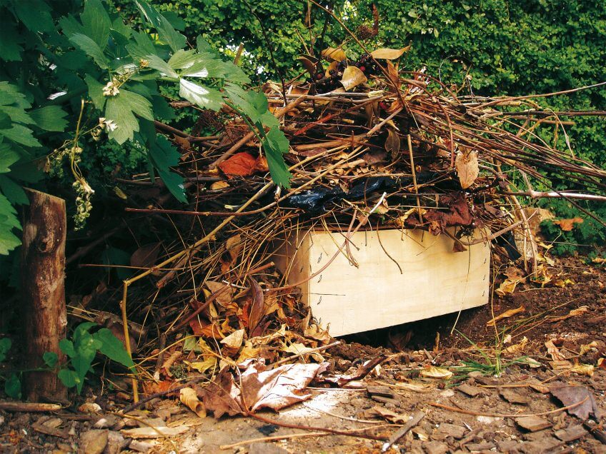 …couvert de feuilles.   8 règles d’or pour un jardin à hérisson - La Salamandre