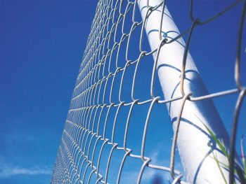 FAUX. Les hérissons doivent pouvoir circuler dans votre jardin. Les clotûres sont donc à éviter.  8 règles d’or pour un jardin à hérisson - La Salamandre