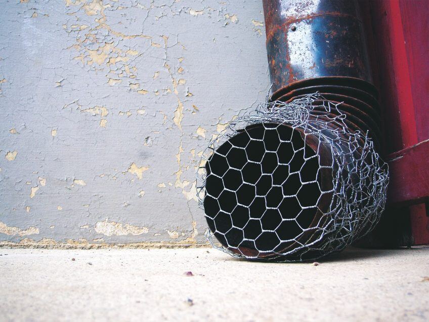 JUSTE. Canalisations et soupiraux devraient être protégés par un grillage.  8 règles d’or pour un jardin à hérisson - La Salamandre