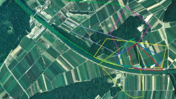 Le domaine vital de 8 couleuvres dans le Seeland.  Le domaine vital de 8 couleuvres dans le Seeland.