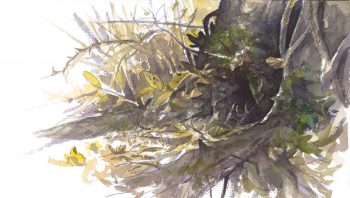 Le hérisson hiberne dans son nid préféré et se réveille de temps à autre. 