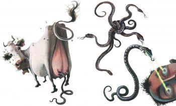 Les serpents tèteraient les vaches et hypnotiseraient leurs proies. Des mythes !