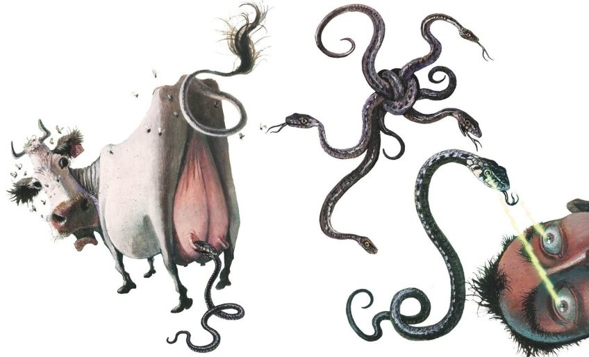 5 vérités sur les mythes autour des serpents - La Salamandre