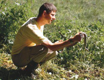 Couleuvre cherche compost - La Salamandre