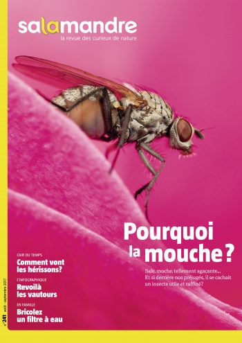 Couverture de La Salamandre n°241
