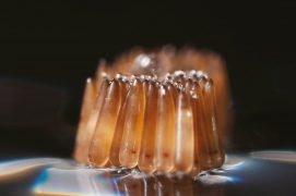 3 - Les larves positionnées tête en bas dans l'œuf éclosent après un à deux jours. / © Gilbert Hayoz