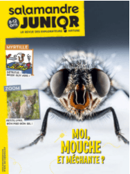 Salamandre junior n° 113 Moi mouche et méchante