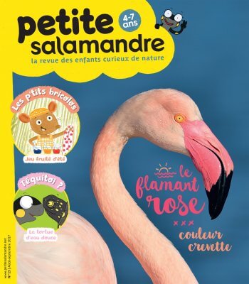Couverture de La Petite Salamandre n°13