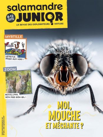 Couverture de La Salamandre Junior n°113