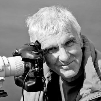 Daniel Magnin Dernier bal avant l’automne pour les libellules - La Salamandre