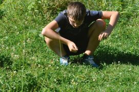 Espacez les tontes, tolérez quelques centimètres supplémentaires. Non seulement votre pelouse résistera mieux à la sécheresse, mais elle abritera plus de vie. Que cela ne vous empêche pas de tondre à ras les parties du jardin les plus piétinées ou les plus utilisées par les enfants.