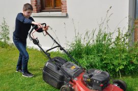 Laissez quelques îlots d’herbes folles. Ces oasis oubliées par la tondeuse seront vite colonisées par exemple par le criquet mélodieux ou le criquet roux.