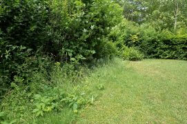 Maintenez des bandes d’herbes hautes le long de la haie, contre un mur ou la clôture, autrement dit dans les lieux les moins fréquentés du jardin.