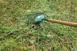 Lorsque vous commencez à tondre, commencez par le centre de la pelouse afin que les petites bêtes puissent s’enfuir sur les côtés. Ne laissez pas l’herbe coupée se décomposer sur place car un sol trop riche rend la végétation moins diversifiée.