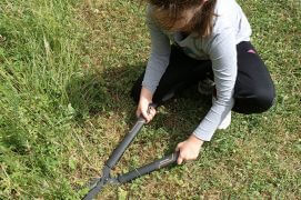 Préférez l’utilisation de la faux, de la cisaille ou de la faucille pour couper les herbes hautes laissées volontairement aux sauterelles et criquets.