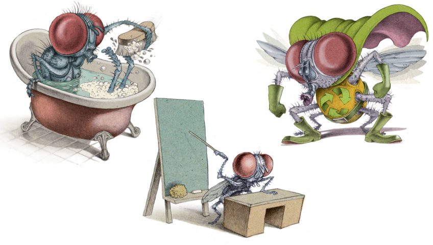 On écrase les fantasmes sur la mouche - La Salamandre