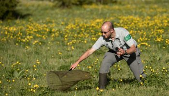 L'entomologiste Jocelyn Claude en pleine action dans la réserve naturelle de Remoray (Doubs).