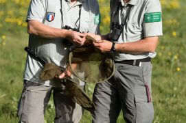 Les entomologistes Bruno Tissot et Jocelyn Claude avec leurs filets de capture / © Olivier Born