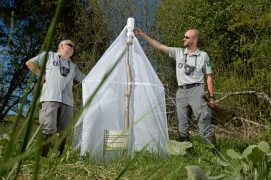 Les entomologistes Bruno Tissot et Jocelyn Claude autour de la tente de capture / © Olivier Born