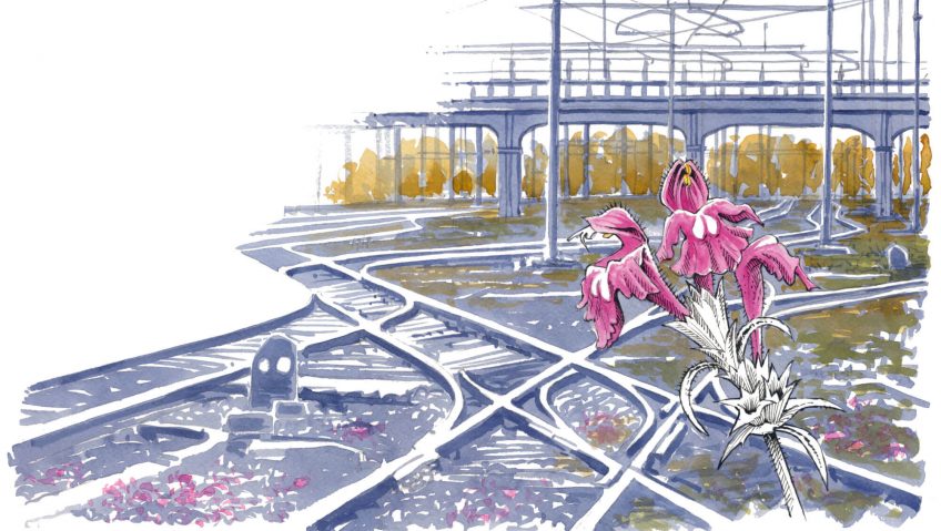 Les jardins de fers ou la flore des voies ferrées - La Salamandre