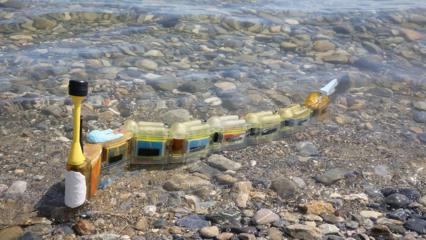 Un robot-anguille détecteur de pollution - La Salamandre