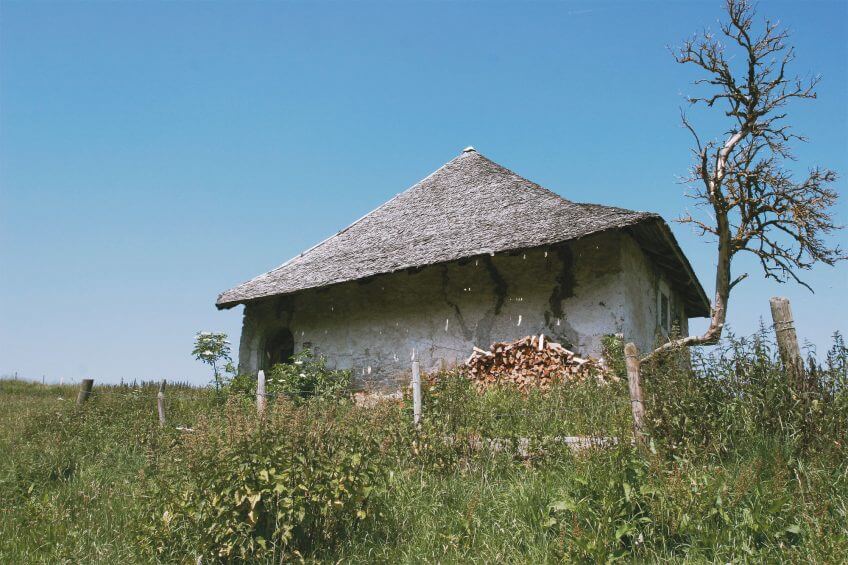 L'ortie, les vertus d’une alliée - La Salamandre