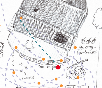 Etape 30 de Mon voyage au jardin. Millepertuis mille vertus - La Salamandre