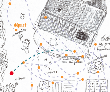 Mais où va la grenouille d'or ? - La Salamandre